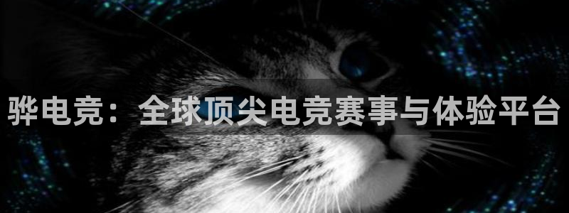 一竞技测速：骅电竞：全球顶尖电竞赛事与体验平台