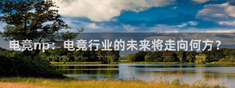 一竞技app：电竞np：电竞行业的未来将走向何方？