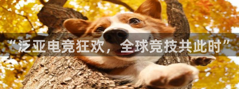 一竞技官方网站入口：“泛亚电竞狂欢，全球竞技共此时”