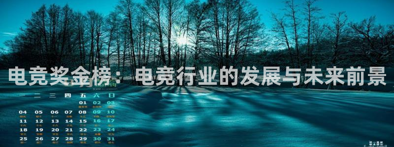 一竞技网页版入口：电竞奖金榜：电竞行业的发展与未来前景
