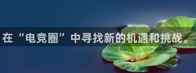 一竞技这个平台怎么样：在“电竞圈”中寻找新的机遇和挑战。
