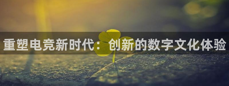 一竞技平台怎么样：重塑电竞新时代：创新的数字文化体验