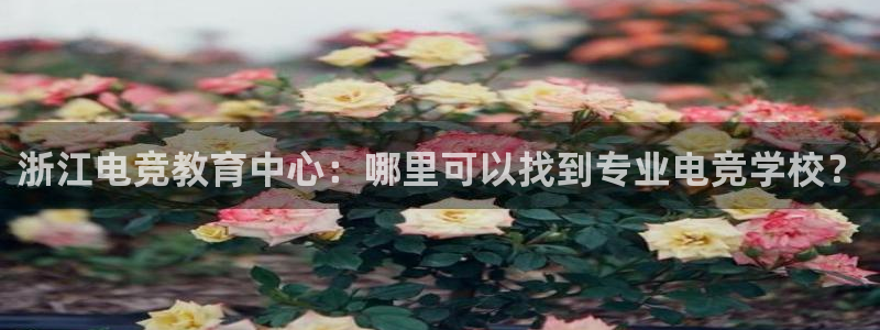 一竞技测速站网址：浙江电竞教育中心：哪里可以找到专业电竞学校？