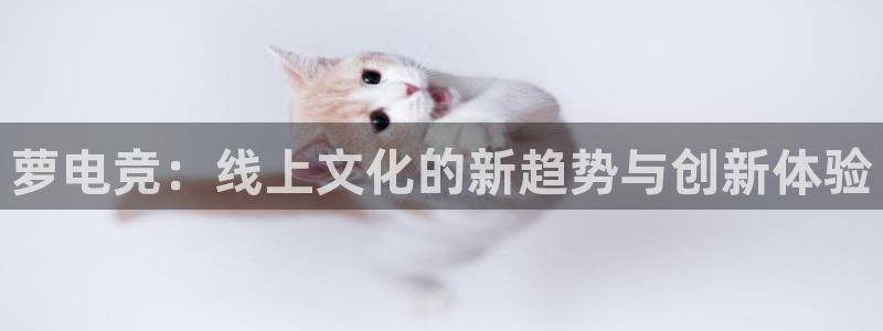 世界第一竞技游戏：萝电竞：线上文化的新趋势与创新体验