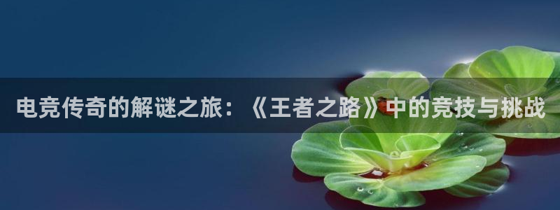 一竞技平台：电竞传奇的解谜之旅：《王者之路》中的竞技与挑战