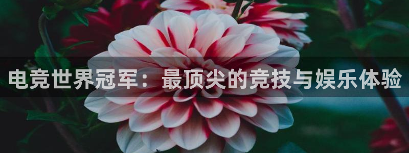 一竞技官方网站入口：电竞世界冠军：最顶尖的竞技与娱乐体验