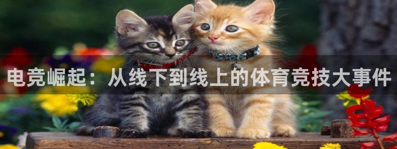 一竞技官网地址：电竞崛起：从线下到线上的体育竞技大事件