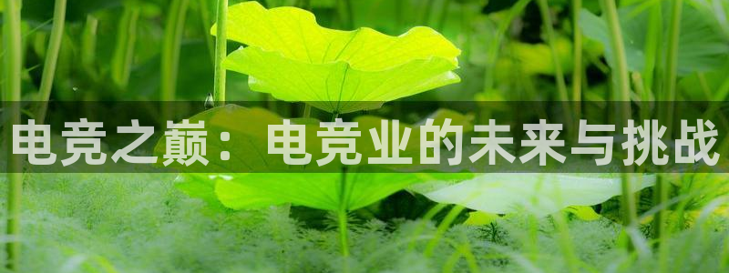 一竞技官网地址：电竞之巅：电竞业的未来与挑战
