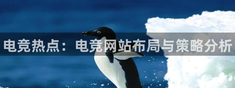 一竞技app：电竞热点：电竞网站布局与策略分析