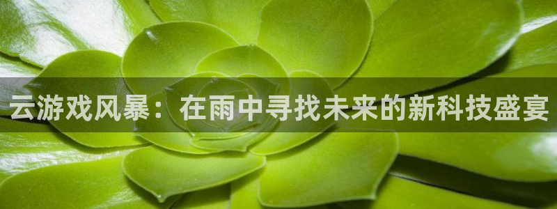 世界第一竞技游戏：云游戏风暴：在雨中寻找未来的新科技盛宴