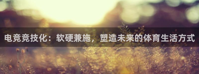 一竞技平台怎么样：电竞竞技化：软硬兼施，塑造未来的体育生活方式